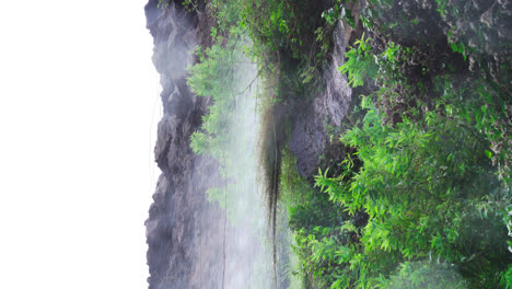 cerca de la cascada que viene de la montaña rocosa rodeada de plantas