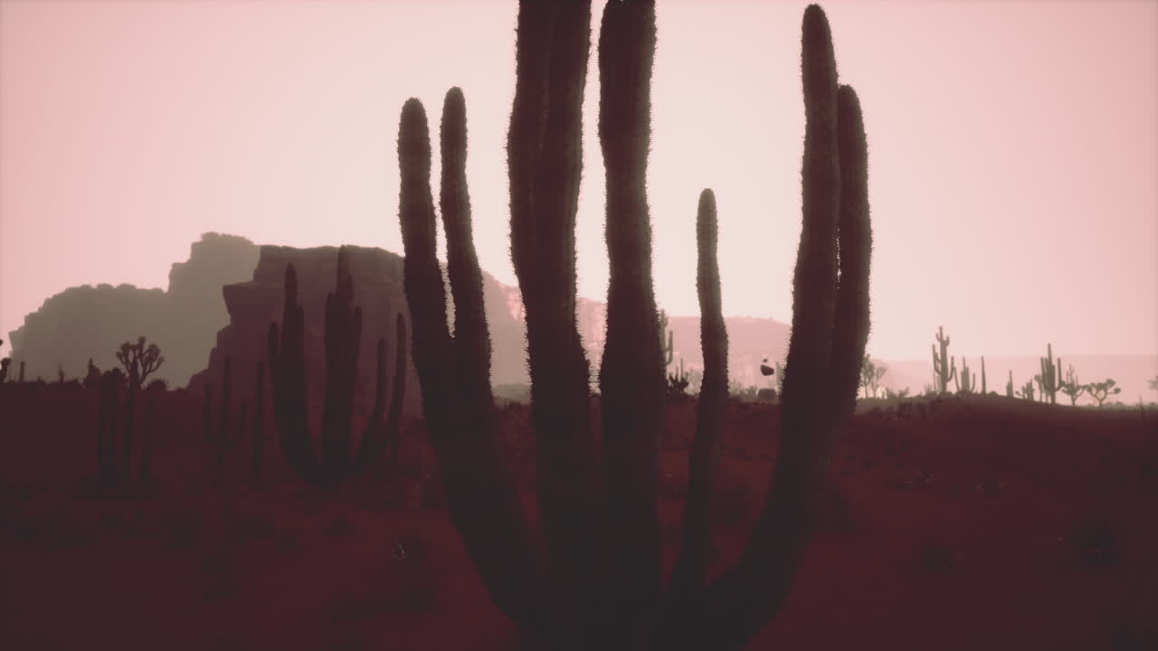 해가 뜨기 전에 하늘을 배경으로 모래 언덕