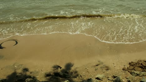 tramo de paisaje de playa como fondo de contenido de video