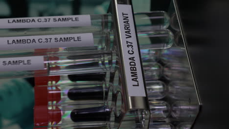 muestras de tubos de ensayo de la variante lambda c37 que se insertan en la gradilla