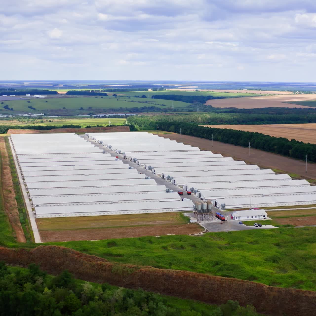 Modern farm poultry buildings. Newly built farm in green field. White roofs of long structures. Aerial view