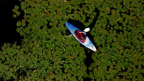 Kayaker-paddling-through-some-lily's.-Aerial-done-shot