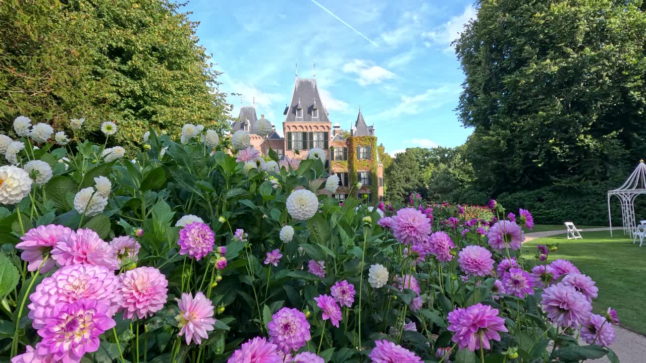 Camera glides past blooming pink dahlias in manicured garden, revealing grand historic castle in sunlight