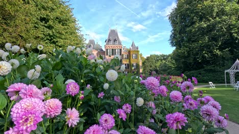 camera glides past blooming pink dahlias in manicured garden, revealing grand historic castle in sunlight