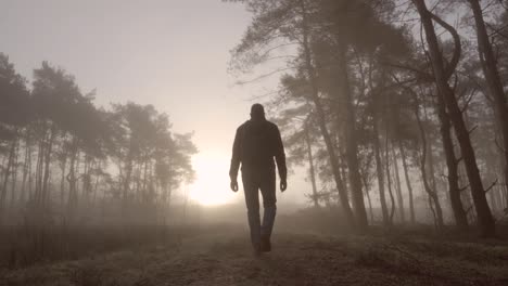 man walking through foggy forest at sunrise