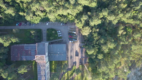 Green-town-Krynica-Morska-Vistula-Spit-Poland-aerial