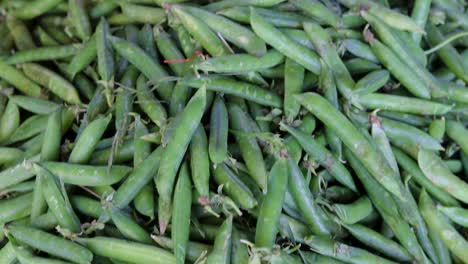 fresh organic peas from farm close up from different angle