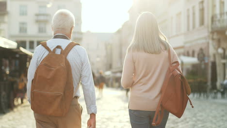 rückansicht eines älteren paares von touristen mit rucksäcken, die an einem sonnigen tag auf der straße der stadt spazieren gehen und sich unterhalten