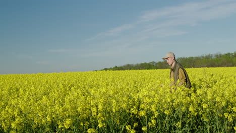 farmer in a rapeseed field