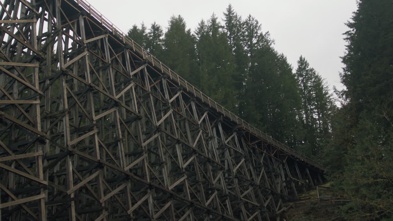 The misty forest conceals an aged train bridge, its timeworn architecture merging with nature's beauty. As the bridge becomes a portal to a forgotten world, cloaked in secrecy.