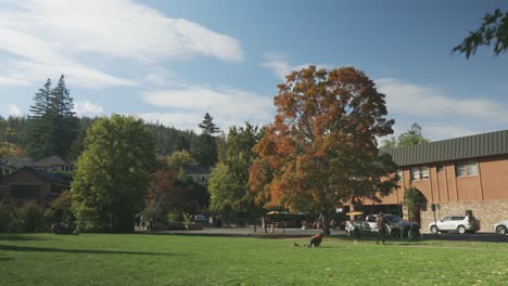 unrecognizable family playing at the park in ashland, oregon