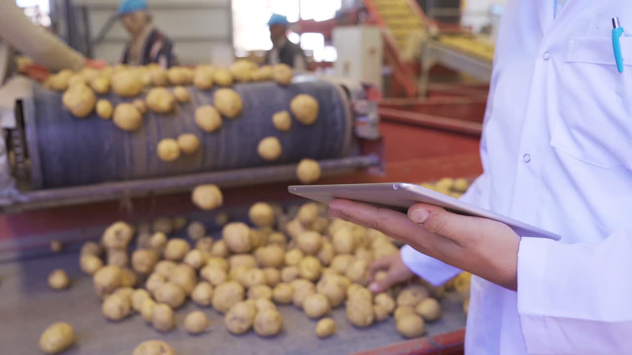 en el fondo las patatas se mueven en la cinta transportadora y la mano del agrónomo trabajando en la tableta.