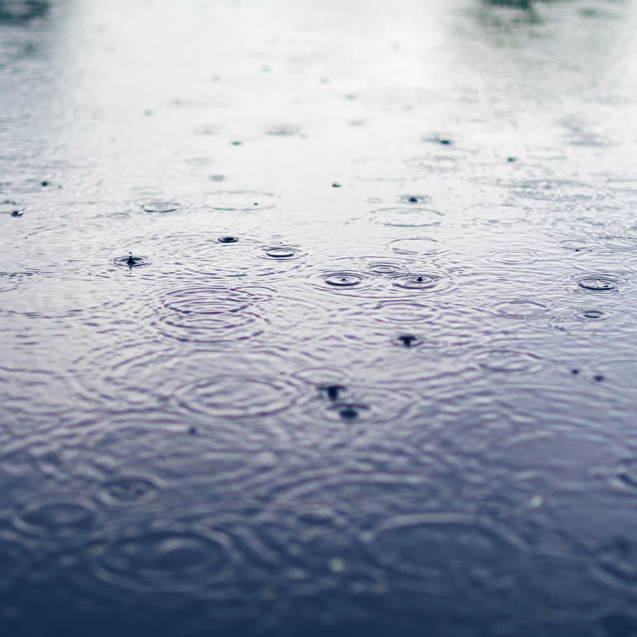방울은 연못, 호수 또는 강의 물 표면에 떨어지고 균일한 배경을 형성합니다.