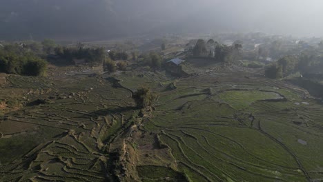 tomada aérea de drones de terrazas de arroz verde brillante en las montañas durante el amanecer en sapa, vietnam