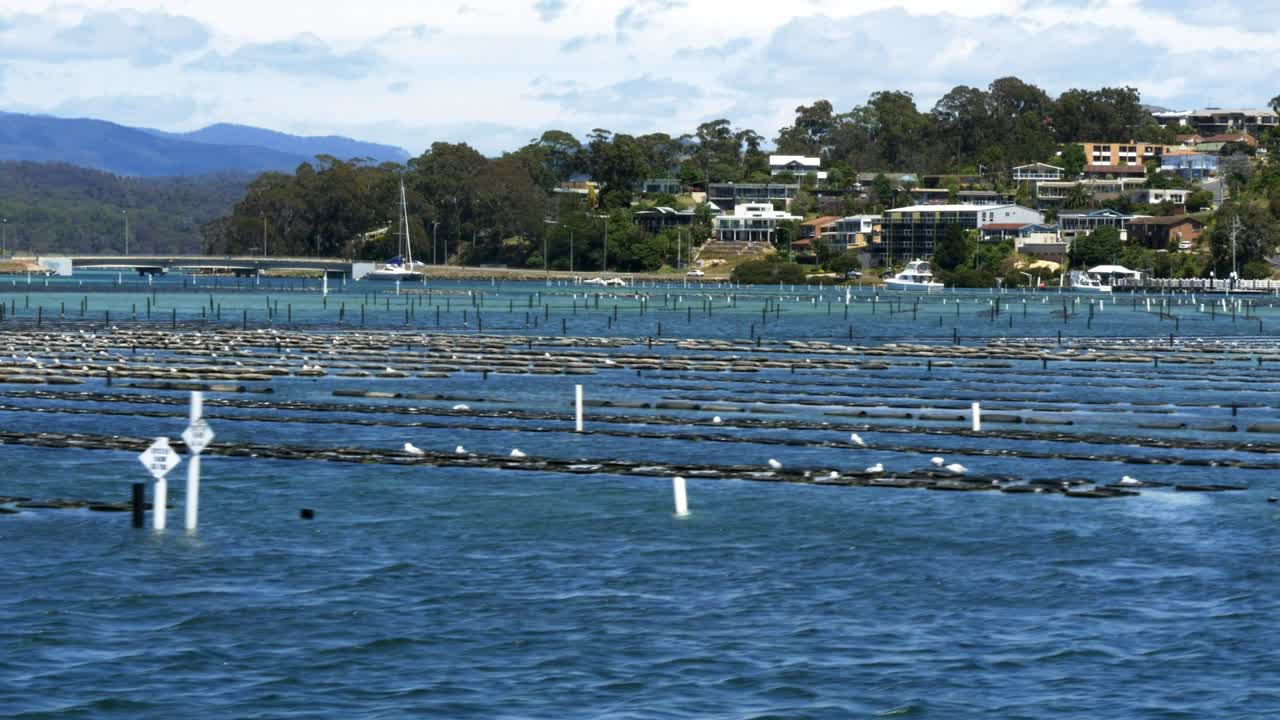 nsw 남쪽 해안에 있는 메림불라 (merimbula) 의 오스트리