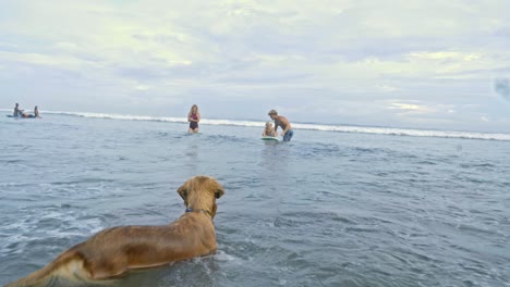 father teaching son to surf in ocean