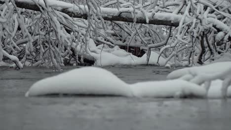 rocas llenas de nieve blanca en el río en letonia