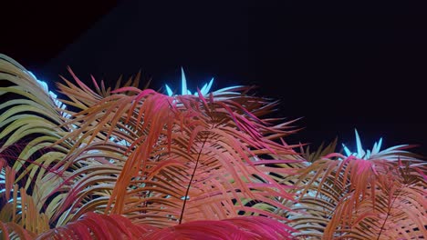 hojas de palma con varios colores tropicales sobre fondo negro