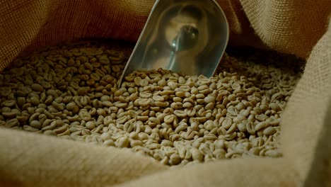 green coffee beans in a bag