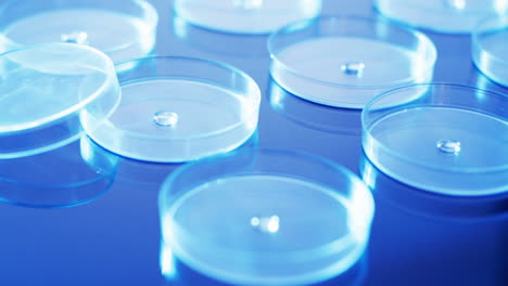 video of close up of laboratory round glass dishes with copy space on blue background