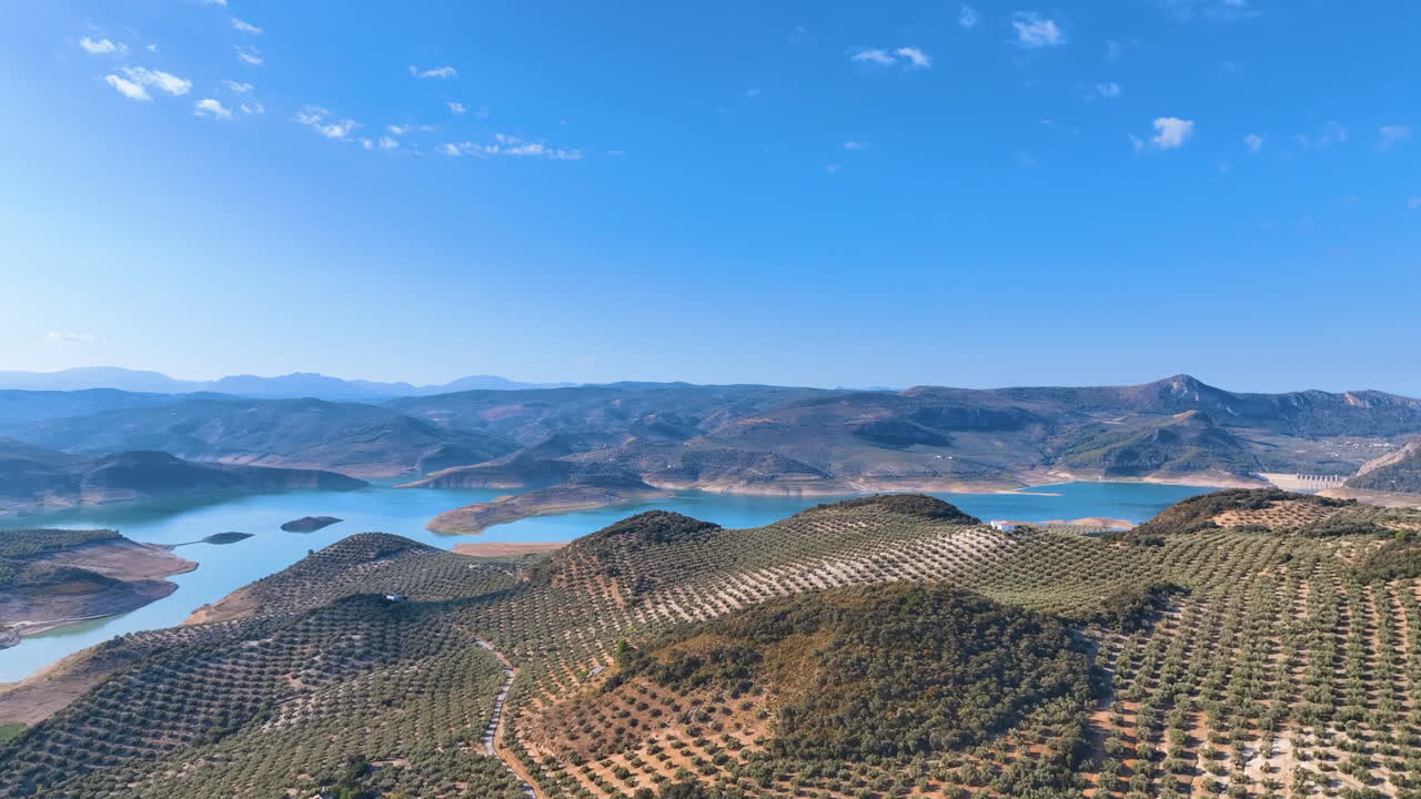 Volo a sinistra sopra gli splendidi uliveti su colline ondulate del lago di Iznajar, Spagna.