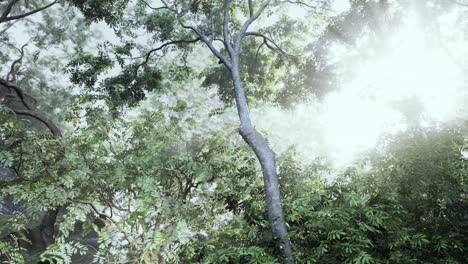 painting of forest with trees and bushes