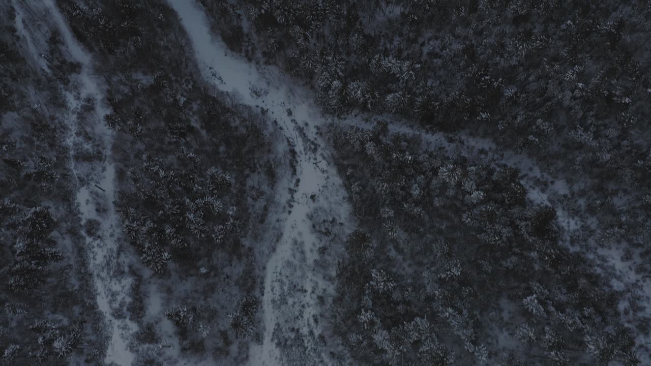 cultivado en pistas de esquí serpentea por la ladera de una montaña cubierta de nieve aérea de arriba hacia abajo