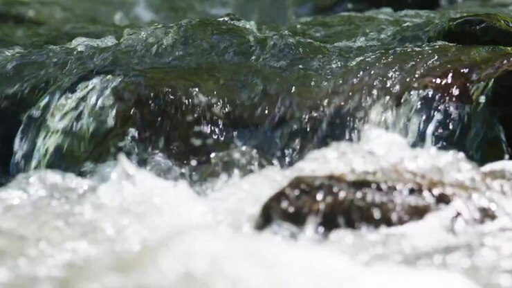 Acqua limpida scorre su rocce muschiose in un ruscello di montagna. Si forma schiuma bianca mentre la corrente colpisce le pietre. Il movimento della natura porta calma ed energia fresca. Perfetto per temi di natura, benessere o ambientali