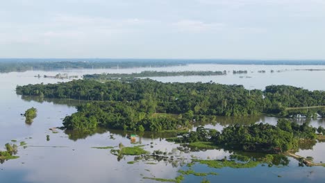 área-De-Tierra-Inundada-Boscosa-Sumergida-En-Agua-De-Inundación