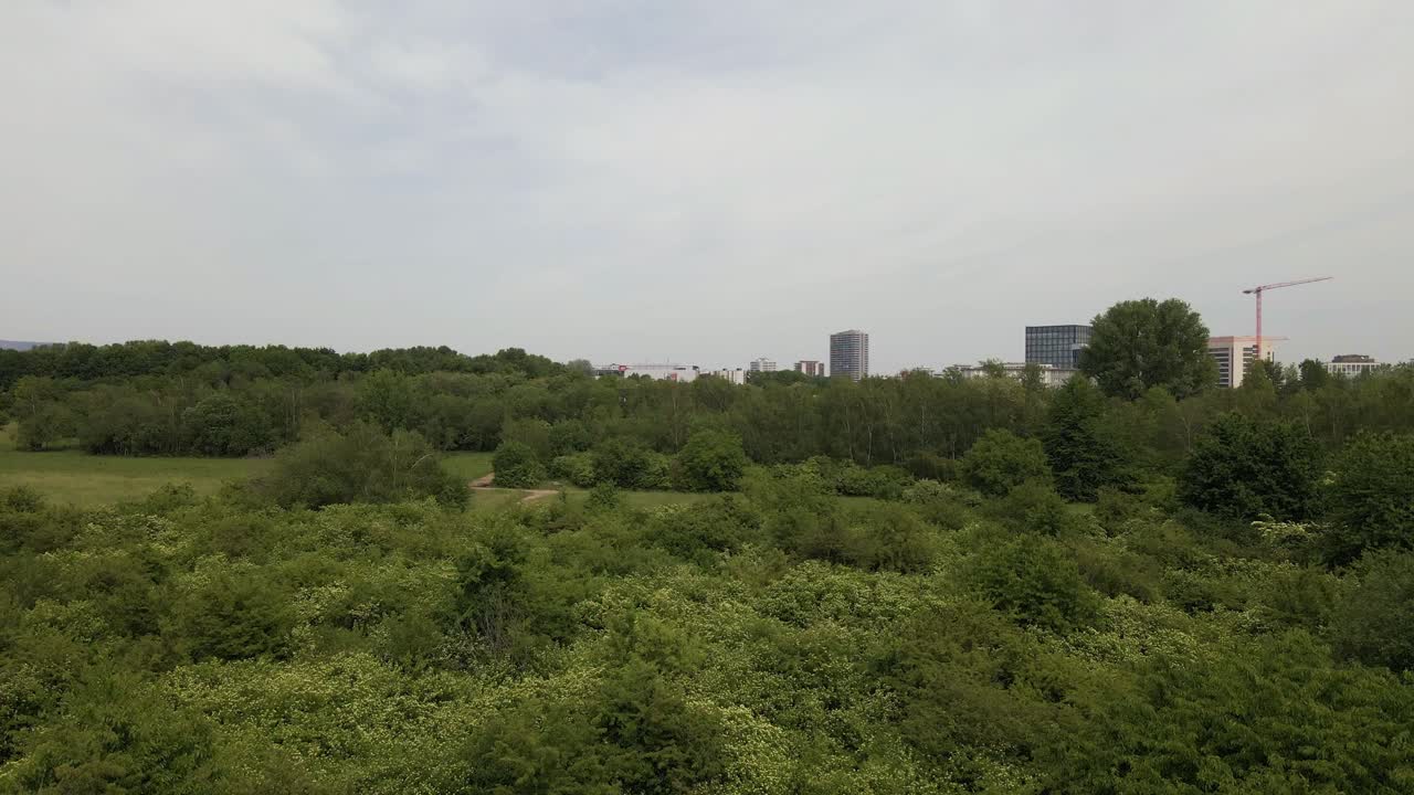 edificios industriales detrás de un exuberante bosque caducifolio en eschborn, alemania