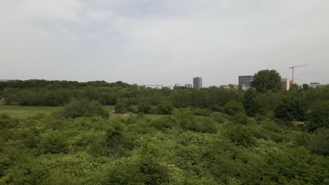 industrial buildings behind a lush deciduous forest in eschborn, germany