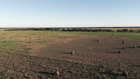 vasto campo en argentina lleno de balas redondas, listo para la recolección
