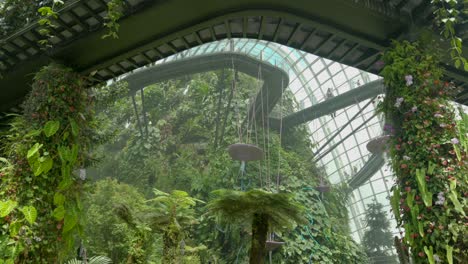 inside-Cloud-forest-Gardens-by-the-Bay-Singapore-tilt-shot-empty-of-tourist-tilt-shot