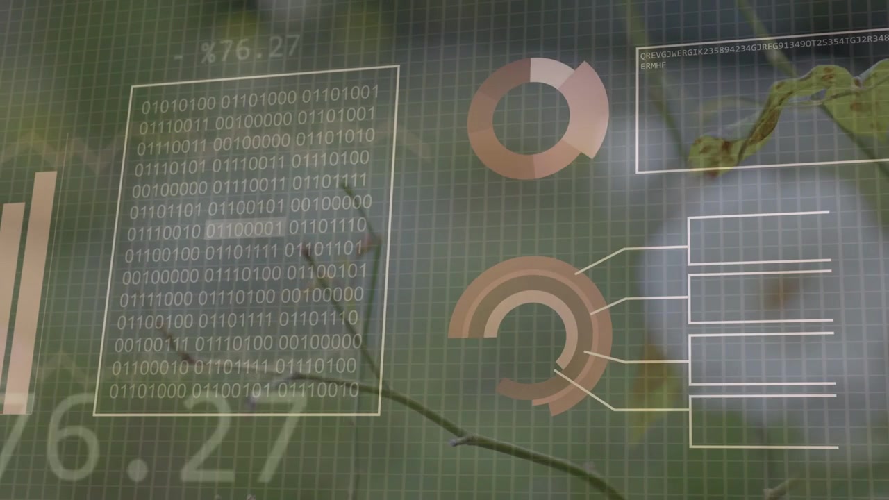 Data feed starting dashboard, pies expanding into bars, rising line filling binary for analysis