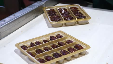 factory worker pick premium-quality tasty medjool dates trays on conveyor, close up