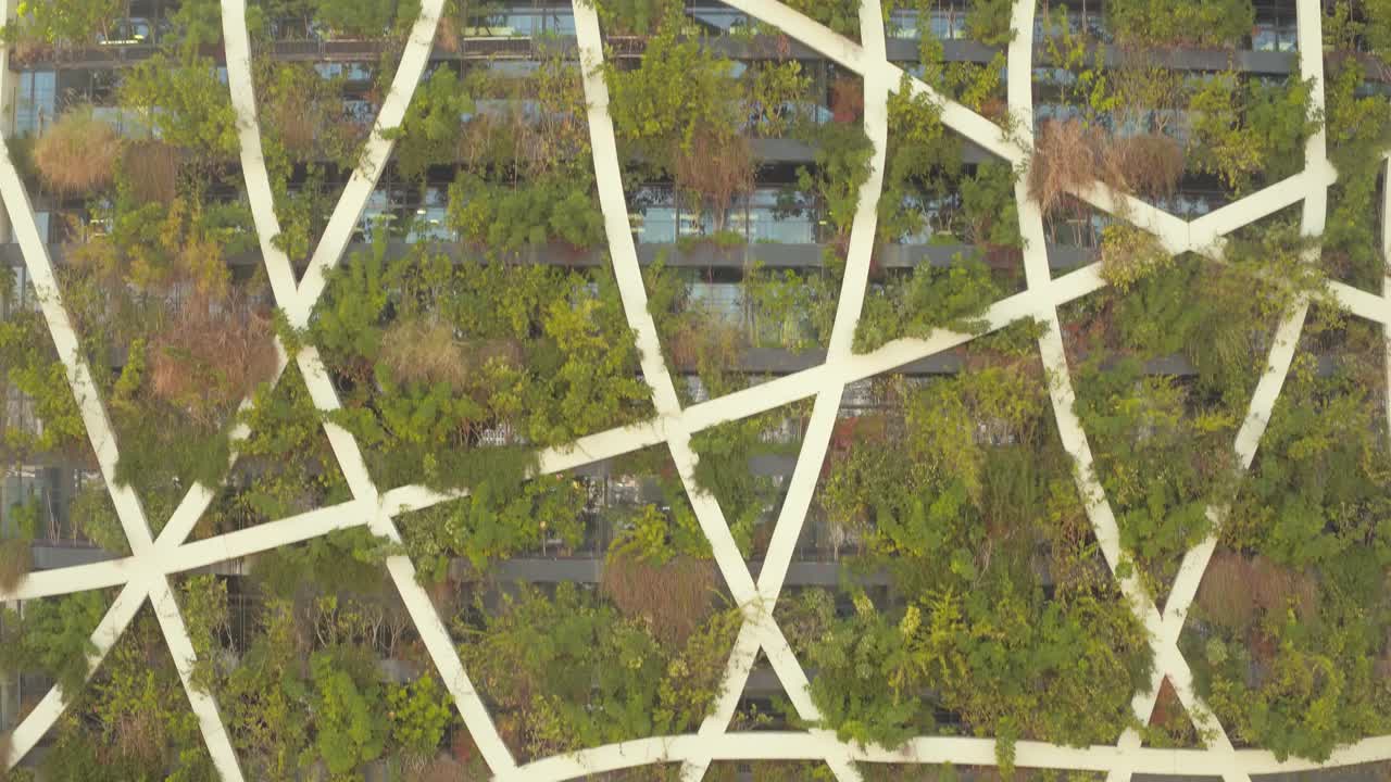 Aerial dolly flight up of skyscraper overgrown with plants and flowers,steady