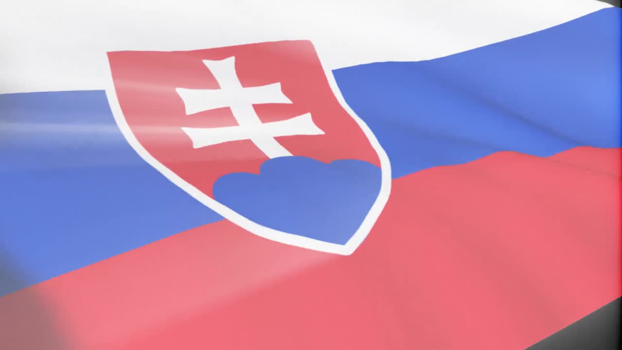 슬로바키아  ⁇ 발