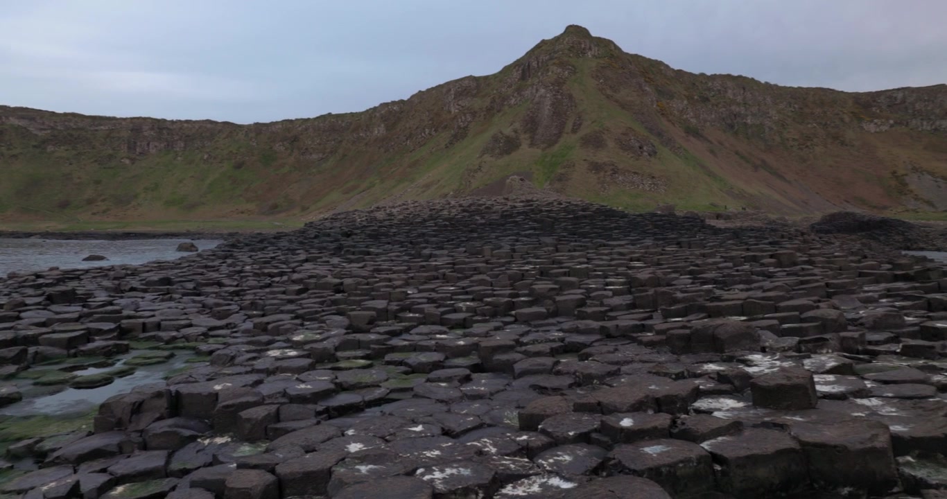 Panorerende skud af fugleklatter og mos, der vokser på de sekskantede klipper ved Giants Causeway