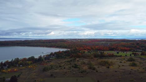 Forest-by-the-coast-shown-by-drone