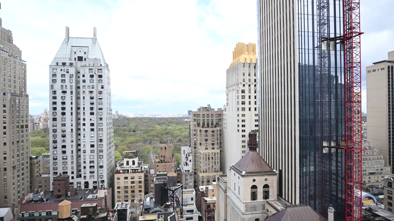 Vista di Central Park dalla 57esima strada e dalla 5a Avenue. Cielo coperto
