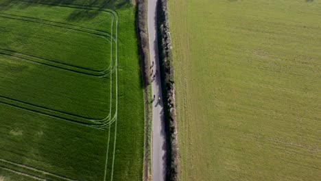 Drohnenschuss,-Der-6-Amateurradfahrer-Auf-Einer-Ruhigen-Landstraße-In-Der-Englischen-Landschaft-Verfolgt