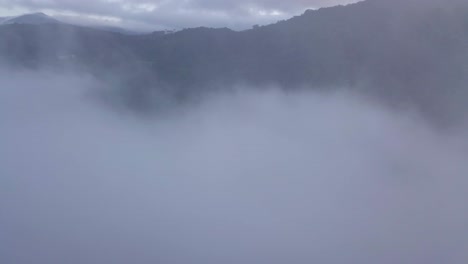 AERIAL:-Tea-fields-in-Cameron-Highlands