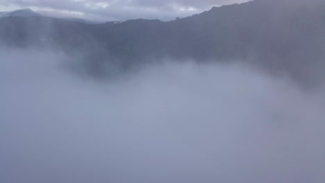 공중: 카메론 하이랜드의 차밭