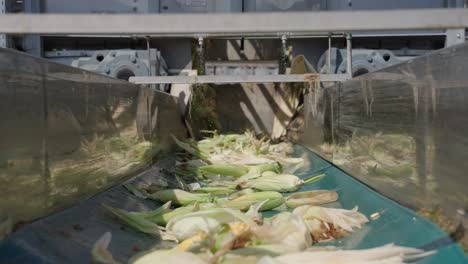 corn being unloaded from a truck and loaded into a processing facility, showcasing transportation, loading equipment, and logistics in food production and agricultural operations