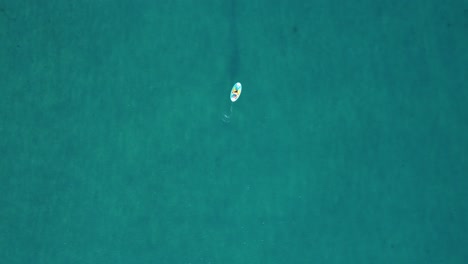 impresionante clip de dron sobre una tabla de remo en medio del océano tropical en calpe, españa
