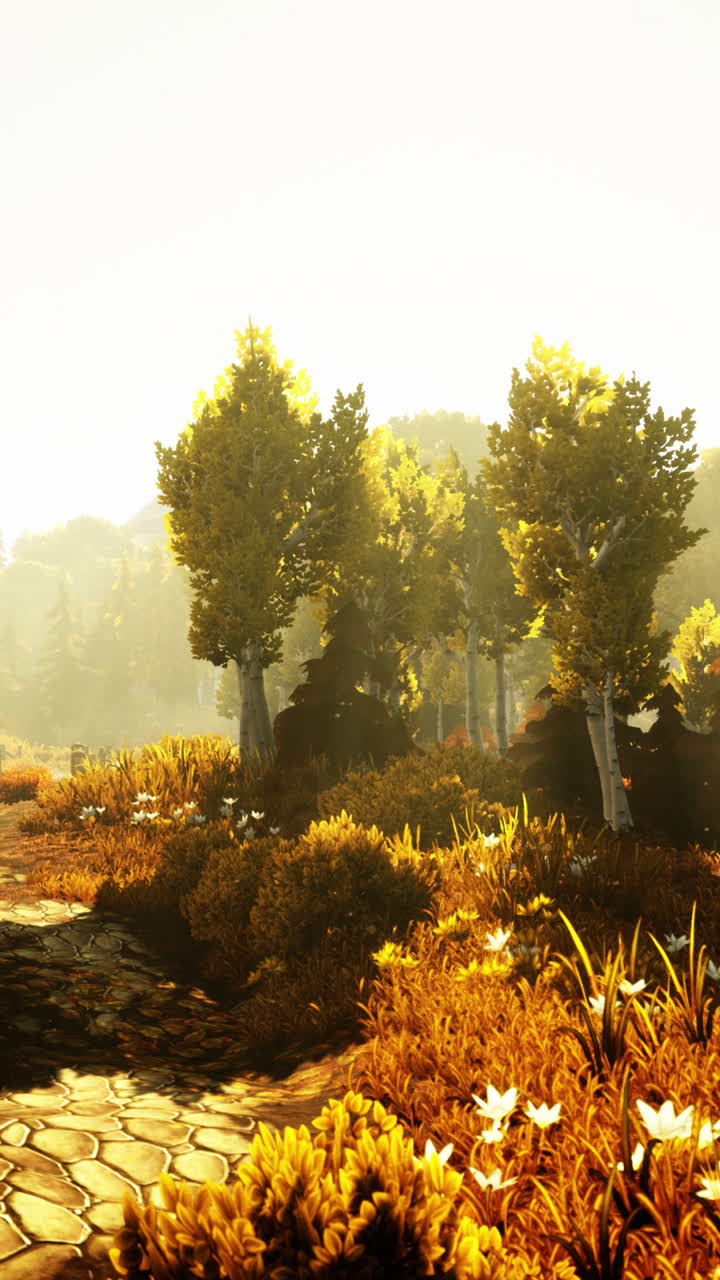 빛이 비치는 숲길