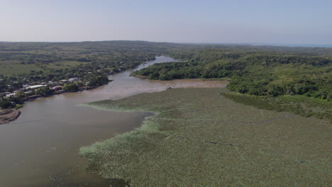 Overview-of-a-swamp-being-drained