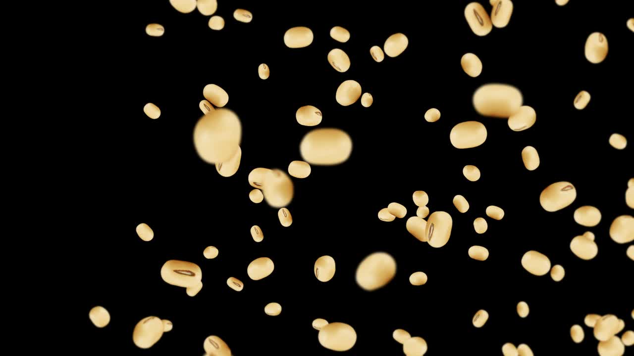 검은색 바탕에 많은 콩을 날아. 밝은 갈색 곡물. 콩과 콩. 건강한 음식. 회전하는 콩의 3d 루프 애니메이션.
