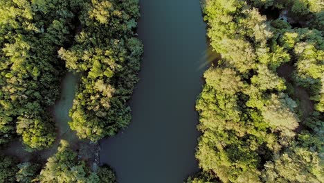 Drone-Volando-Sobre-Un-Río-En-El-Campo