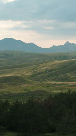 mountainous landscape with forest